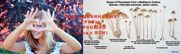 ешки Арсеньев
