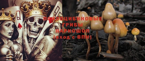 мет Аркадак