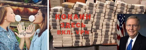 ешки Арсеньев