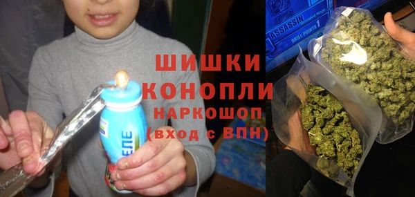 ешки Арсеньев